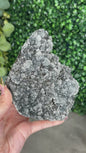 Black Chalcedony Crystal Specimen P