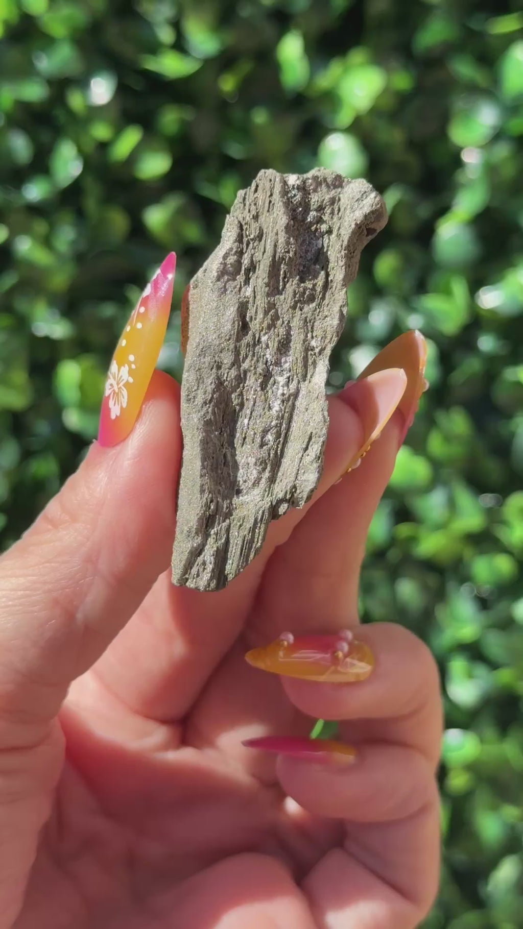 Pyritized Petrified Wood - Indonesia
