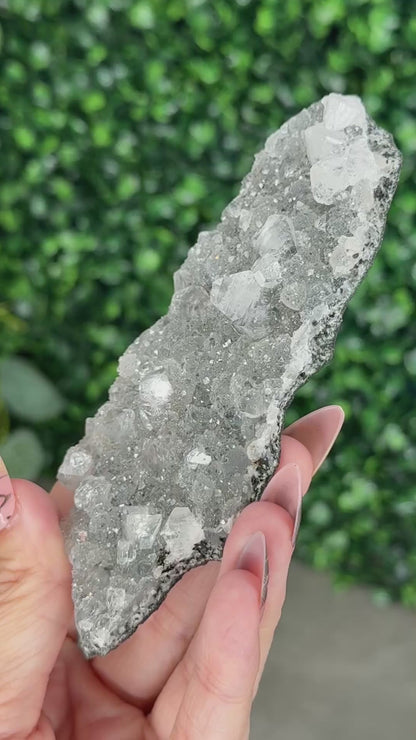 Black Chalcedony with Apophyllite M