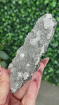Black Chalcedony with Apophyllite M