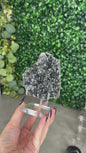 Black Chalcedony Crystal Specimen J