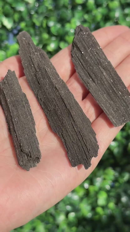 Sparkly Petrified Wood Specimens - Indonesia